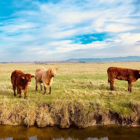 La Cabourgeaise Cabourg