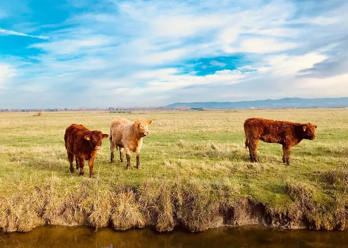 La Cabourgeaise Cabourg